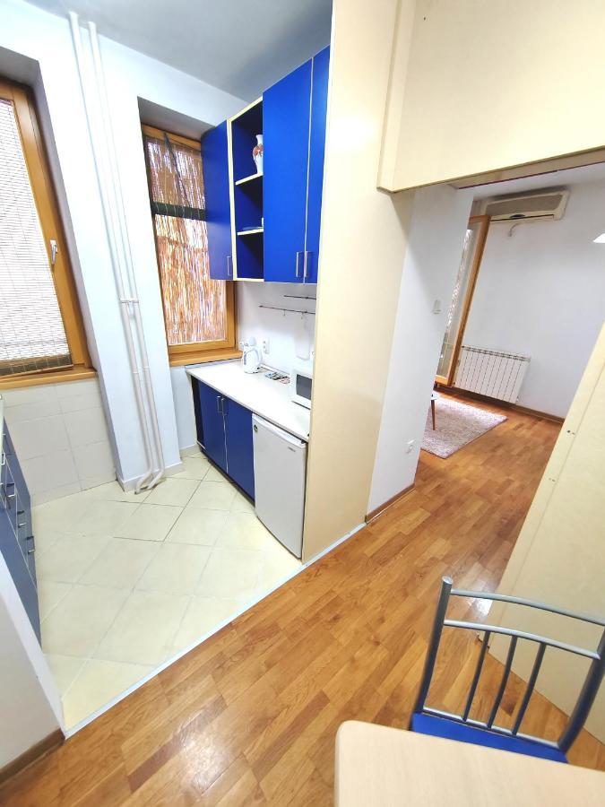 Ferienwohnung Magenta Vracar Belgrad Exterior foto